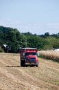 Free stock photo of agriculture, cornfield, countryside