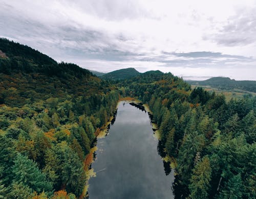 Free Drone Shot of a Body of Water in the Wilderness Stock Photo