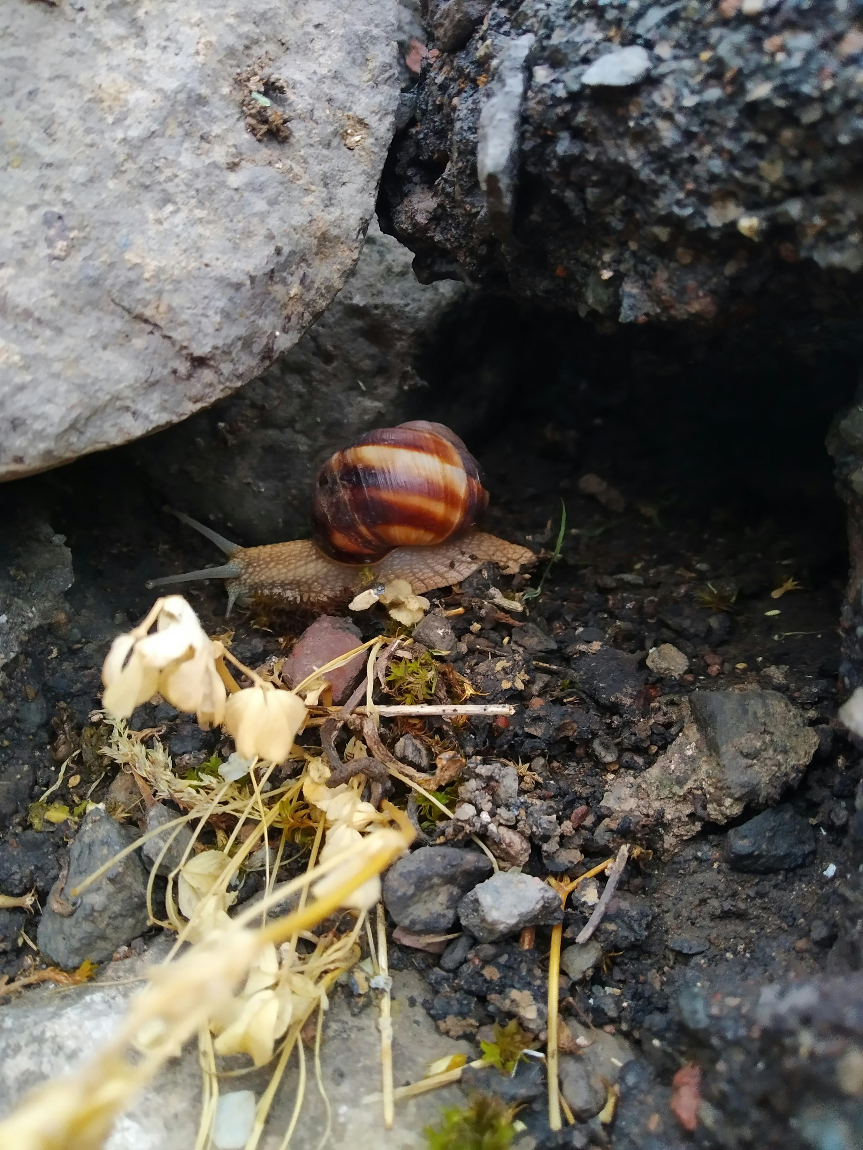 pexels-photo-9778392.jpeg?auto=compress&cs=tinysrgb&dpr=1&w=500