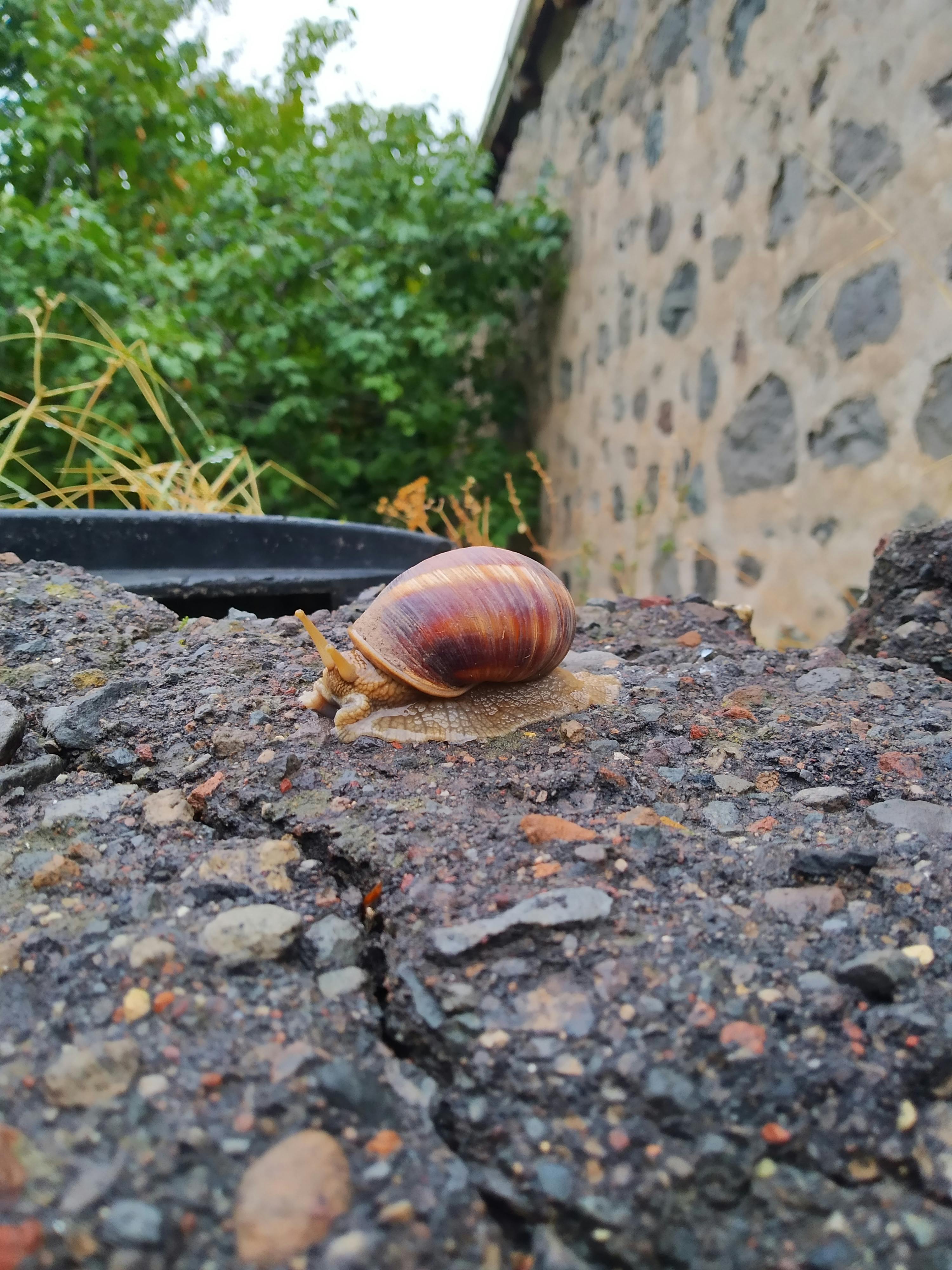 pexels-photo-9778393.jpeg?auto=compress&cs=tinysrgb&dpr=1&w=500