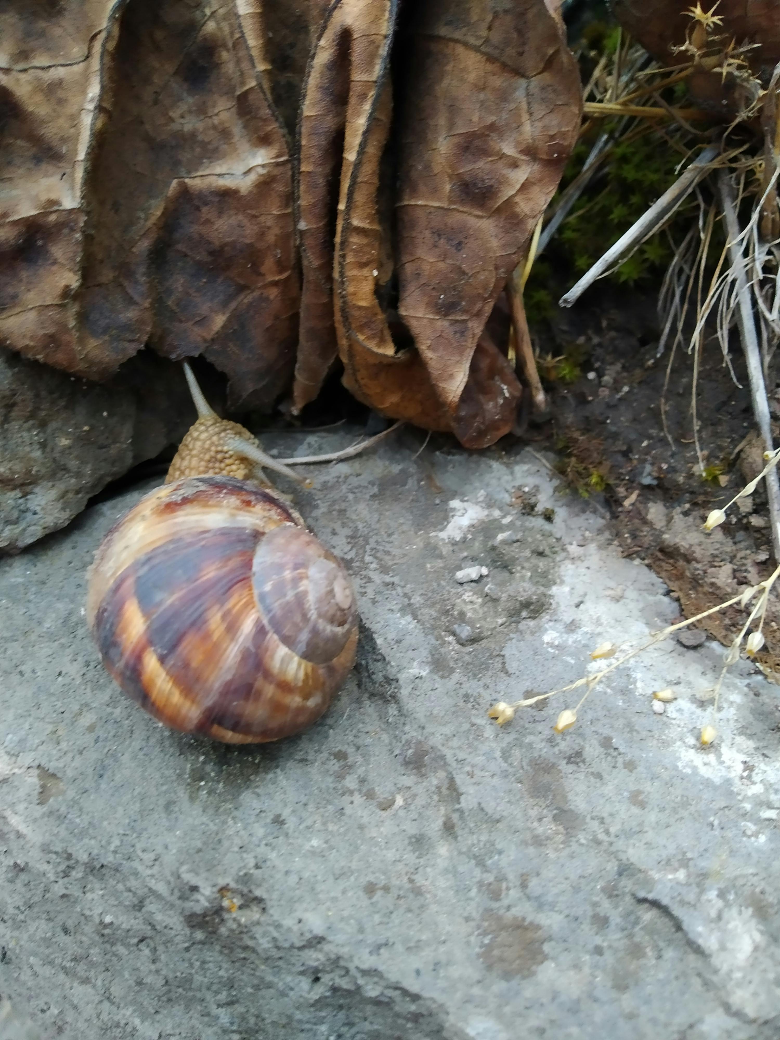 pexels-photo-9778394.jpeg?auto=compress&cs=tinysrgb&dpr=1&w=500