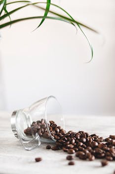 coffee beans image 4
