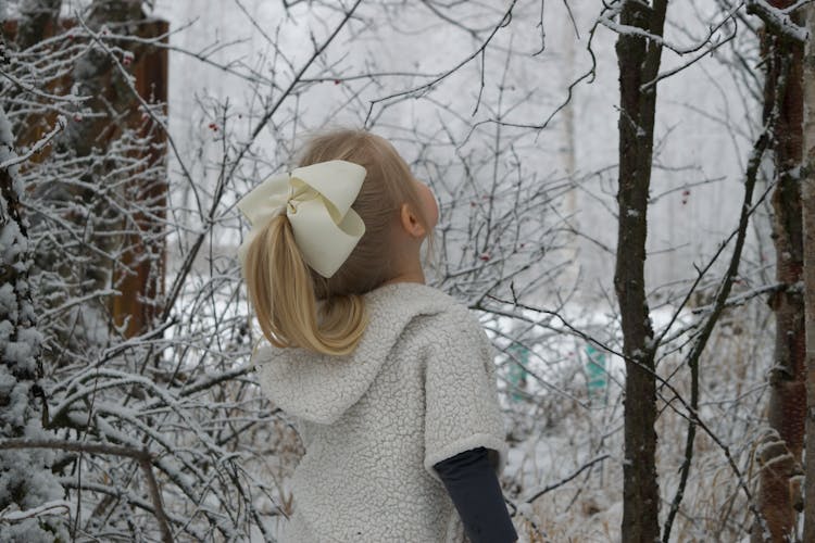 Child Looking Up At A Tree