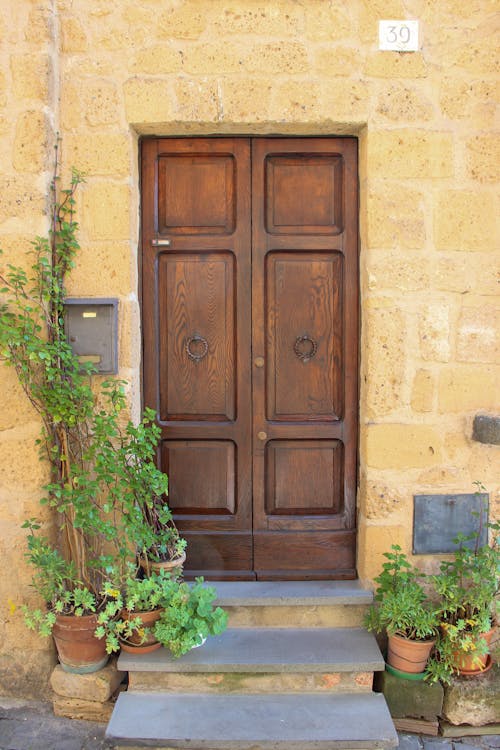 Brown Wooden Door Surrounded by Potted Plants