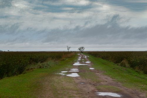 Free A serene dirt road with puddles after rain in rural Corrientes, Argentina. Stock Photo