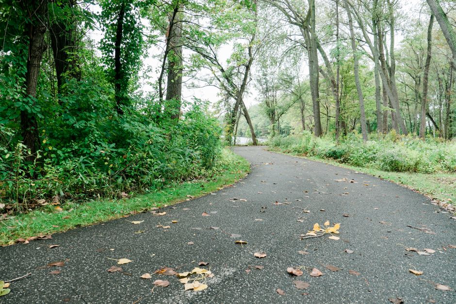 Visit a Forest Preserve things to do in tinley park