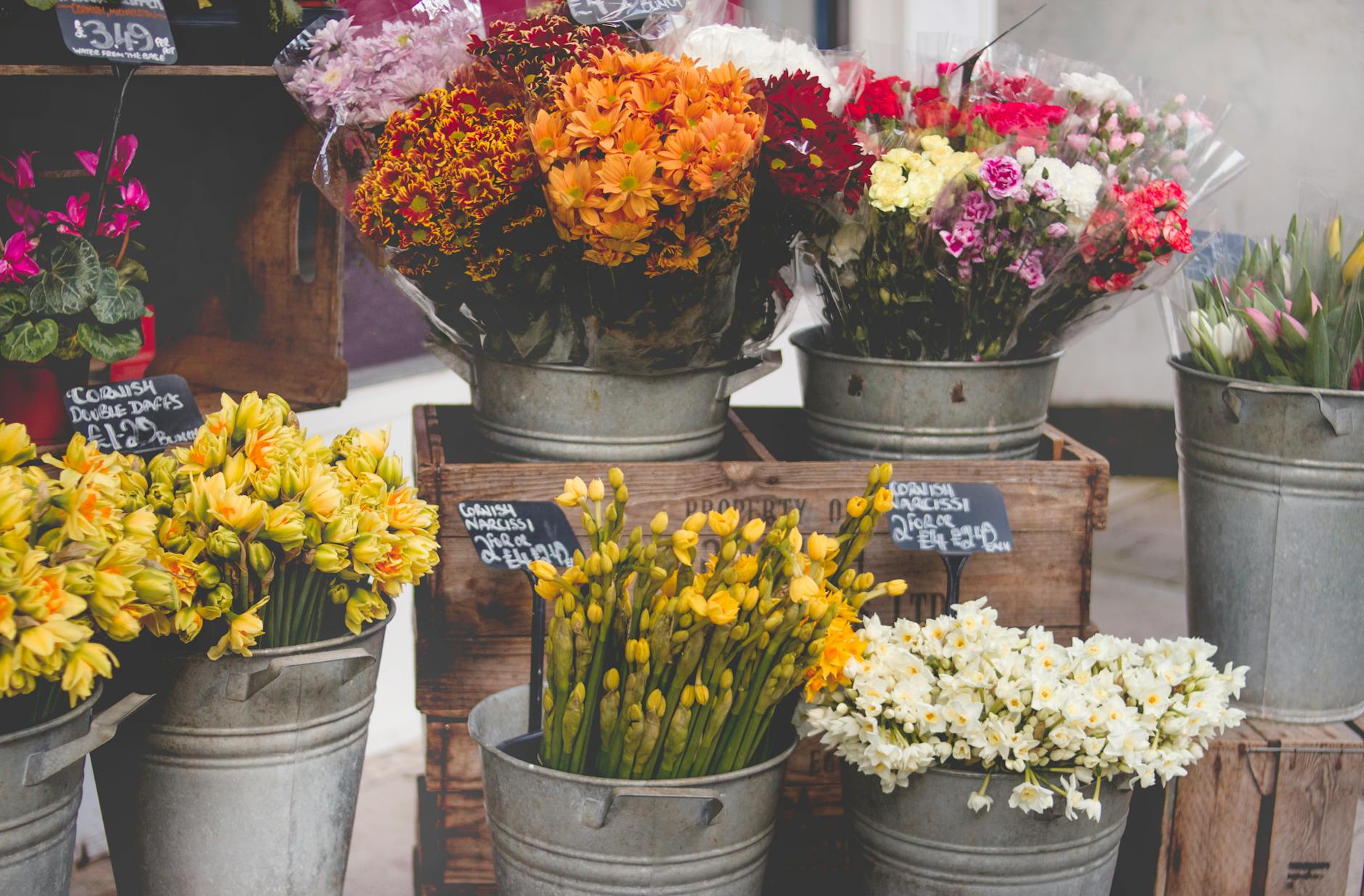 Tentukan florist yang menjual buket bunga berkualitas