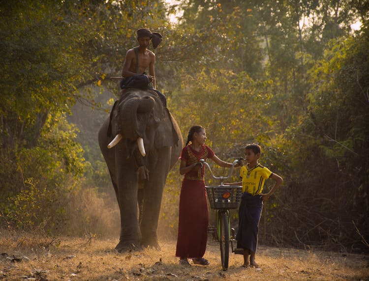 A Boy Riding An Elephant