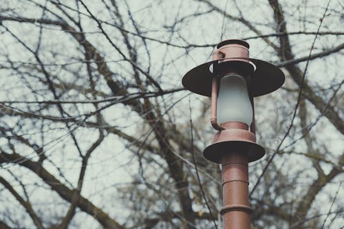 Gratis Trasformato Di Post Light Foto a disposizione