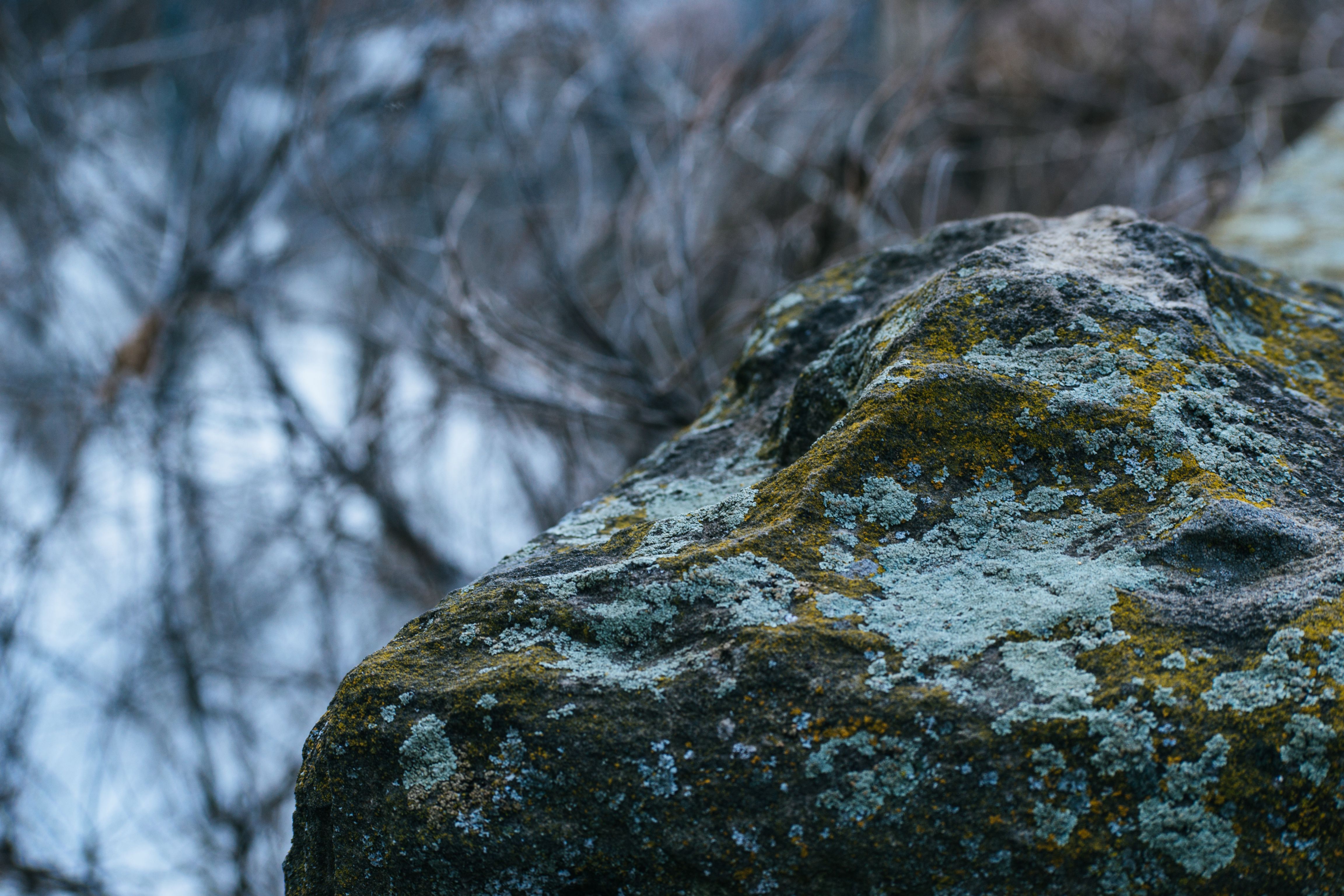Gray Concrete Stone With Green Mold · Free Stock Photo