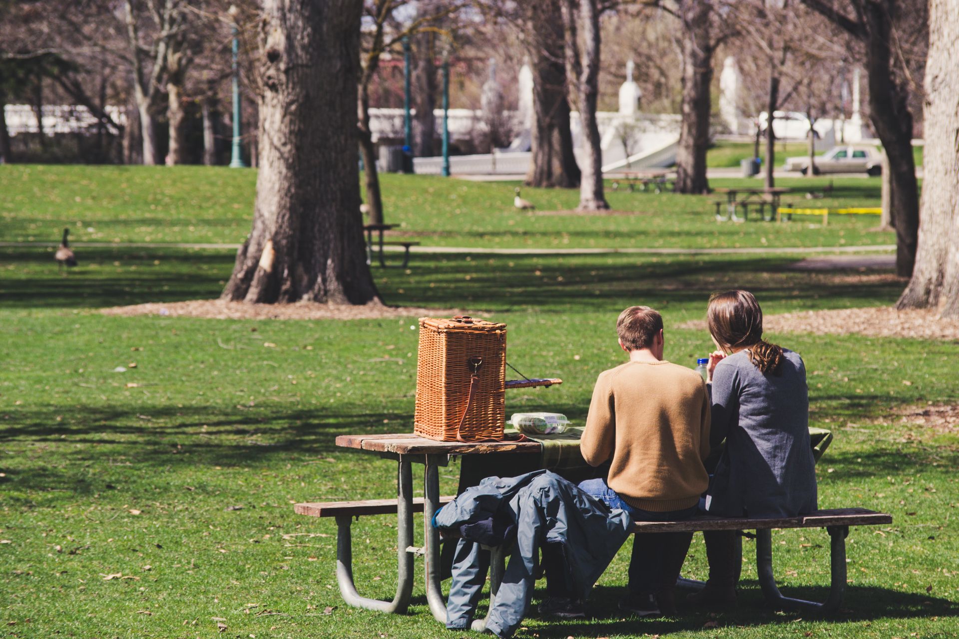 A couple enjoys a sunny picnic in a lush park, seated on a wooden bench with a wicker basket.