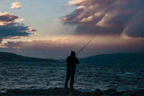 Gratis arkivbilde med fiske, hav, natur