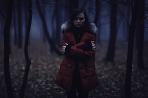 Základová fotografie zdarma na téma bunda, les, noční