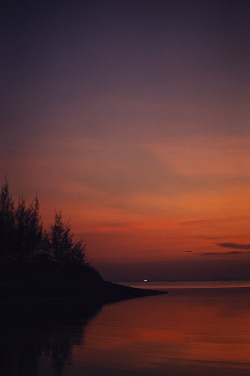 Silhouette of Trees Near Body of Water During Sunset