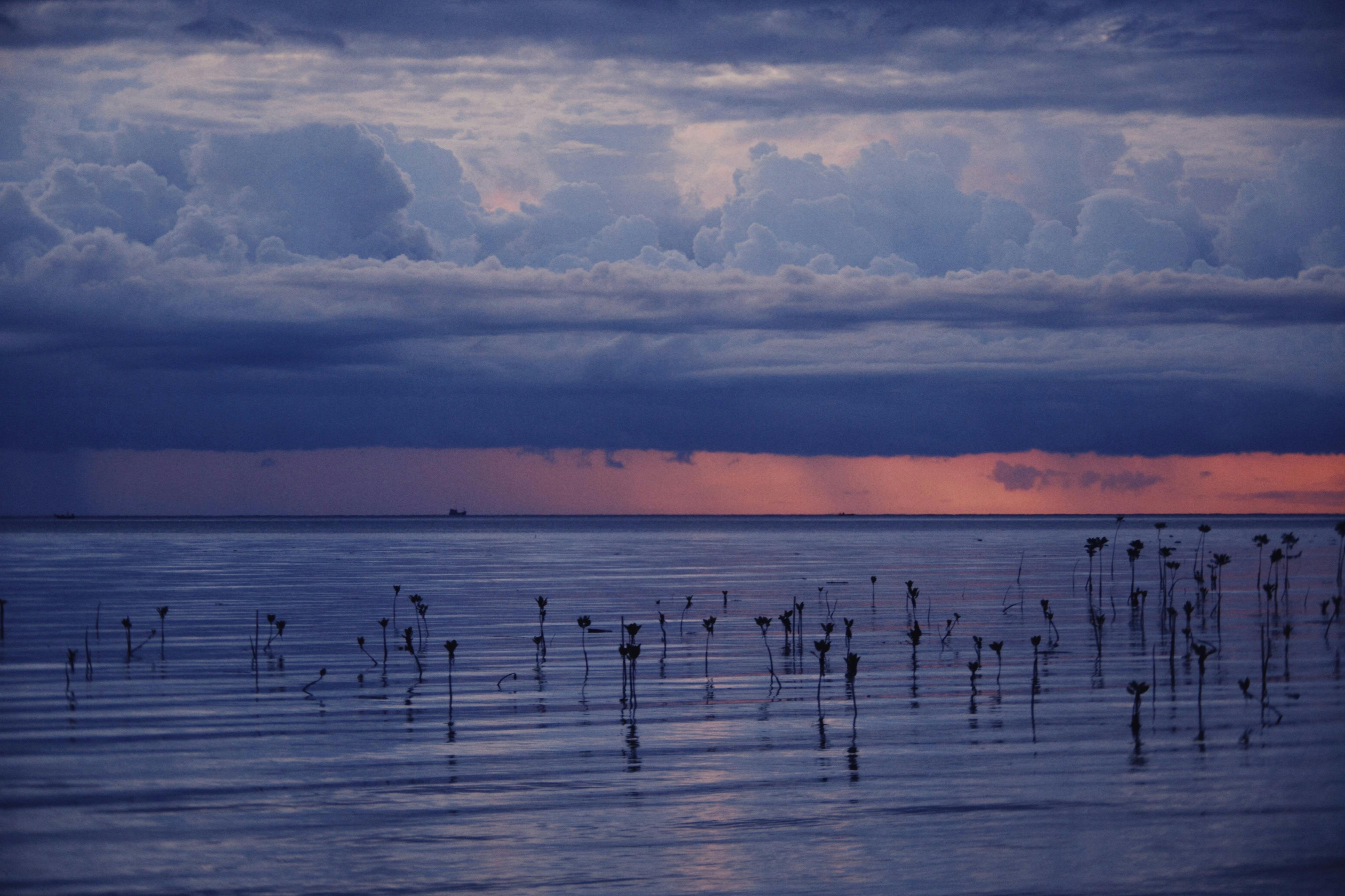 Photo of a Lake at Dawn · Free Stock Photo