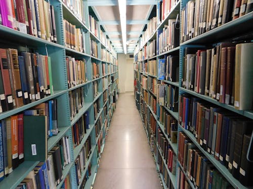 Free stock photo of archive, books, library