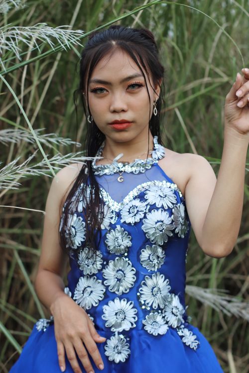 Free A beautiful Asian woman poses outdoors in a detailed blue dress. Stock Photo