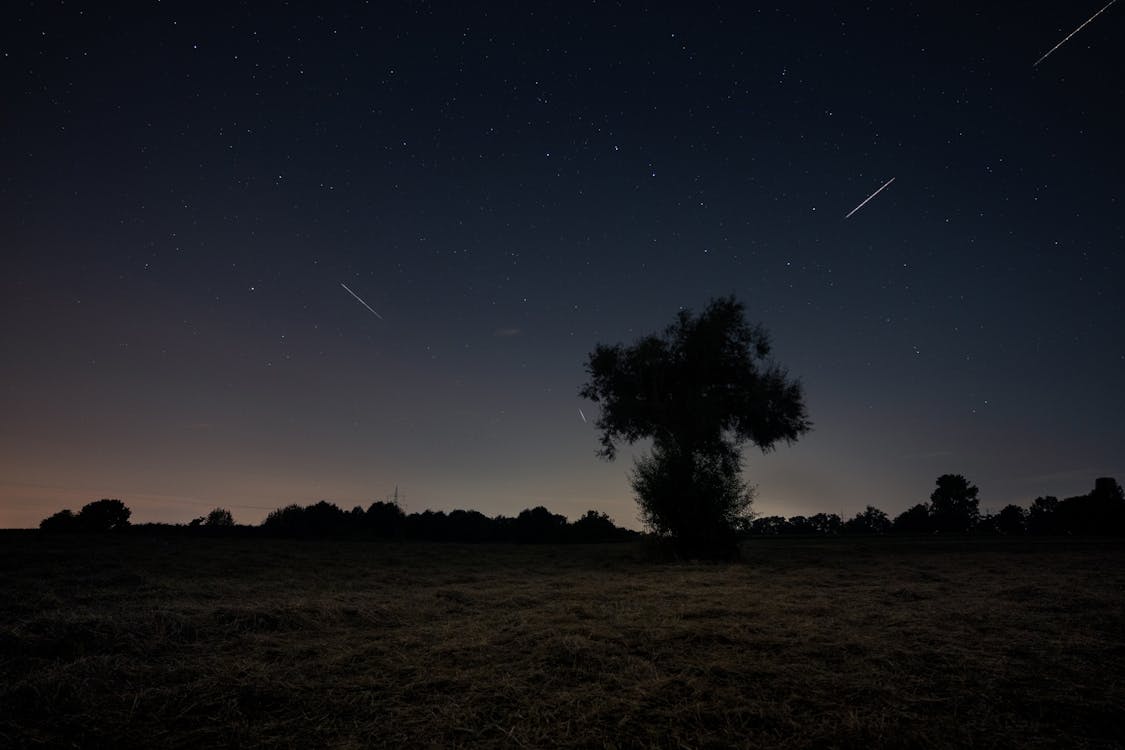 Imagine de stoc gratuită din arbori, astronomie, câmp