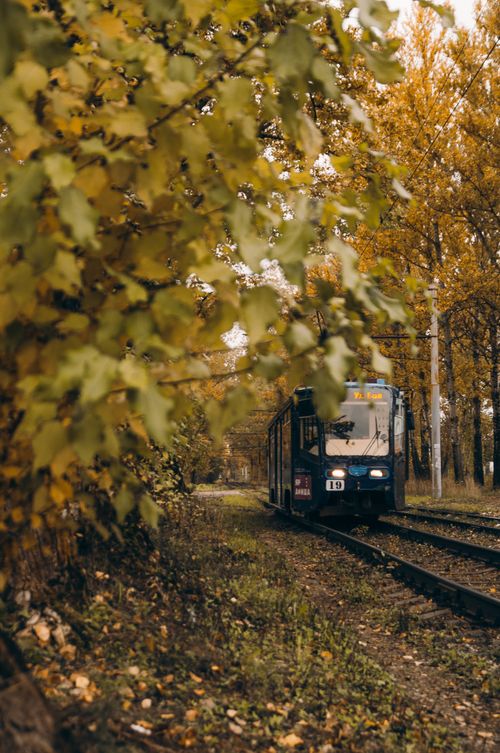 Free A train moves through a vibrant autumn landscape with golden leaves lining the railway tracks. Stock Photo