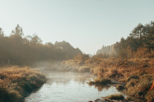 Scenic Landscape of a River 