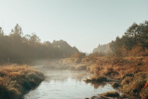 Free Serene autumn river landscape with mist and sunlit foliage at dawn. Stock Photo
