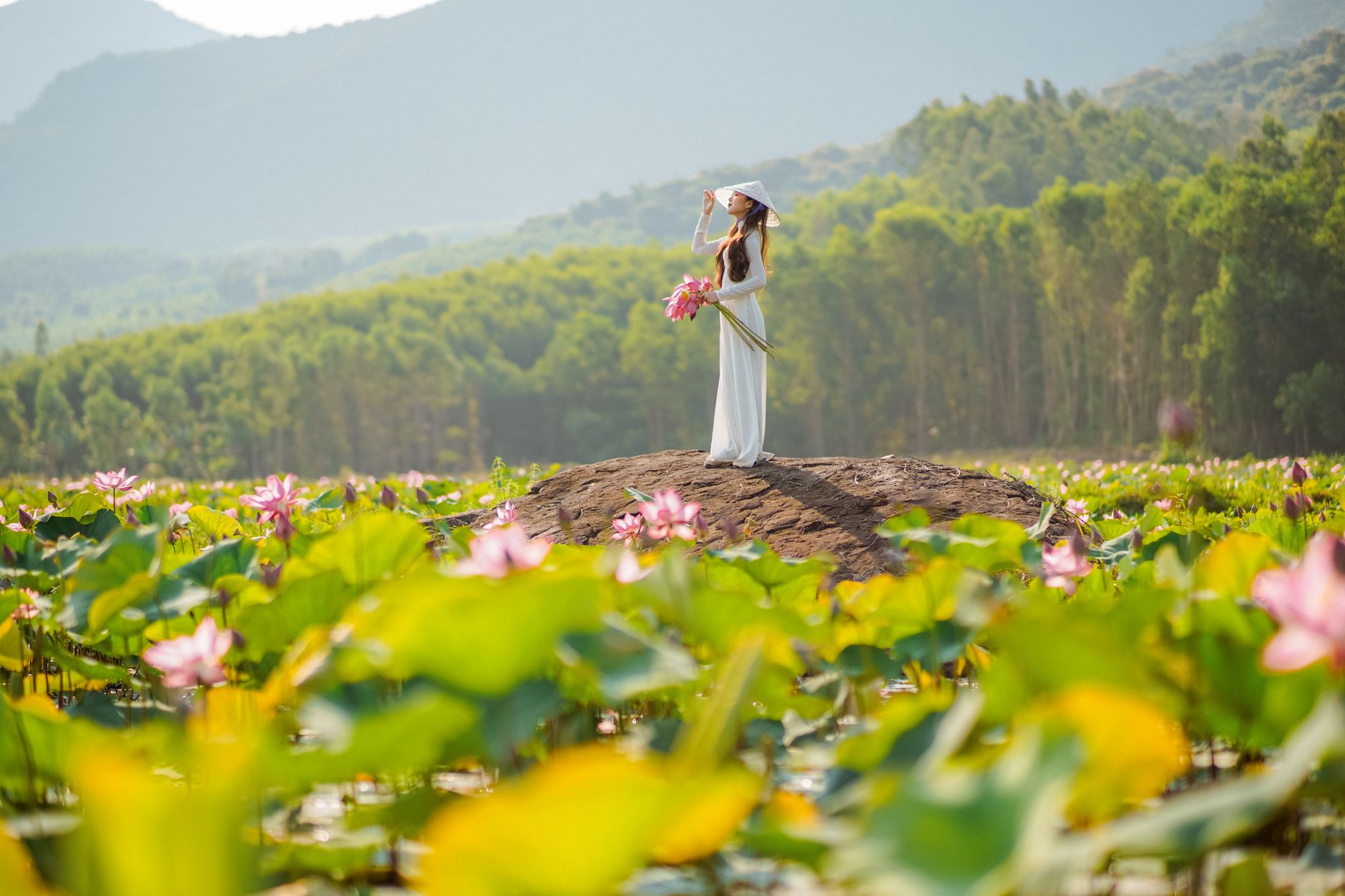 An elegant woman in traditional ao dai poses in a vibrant Vietnamese lotus field.