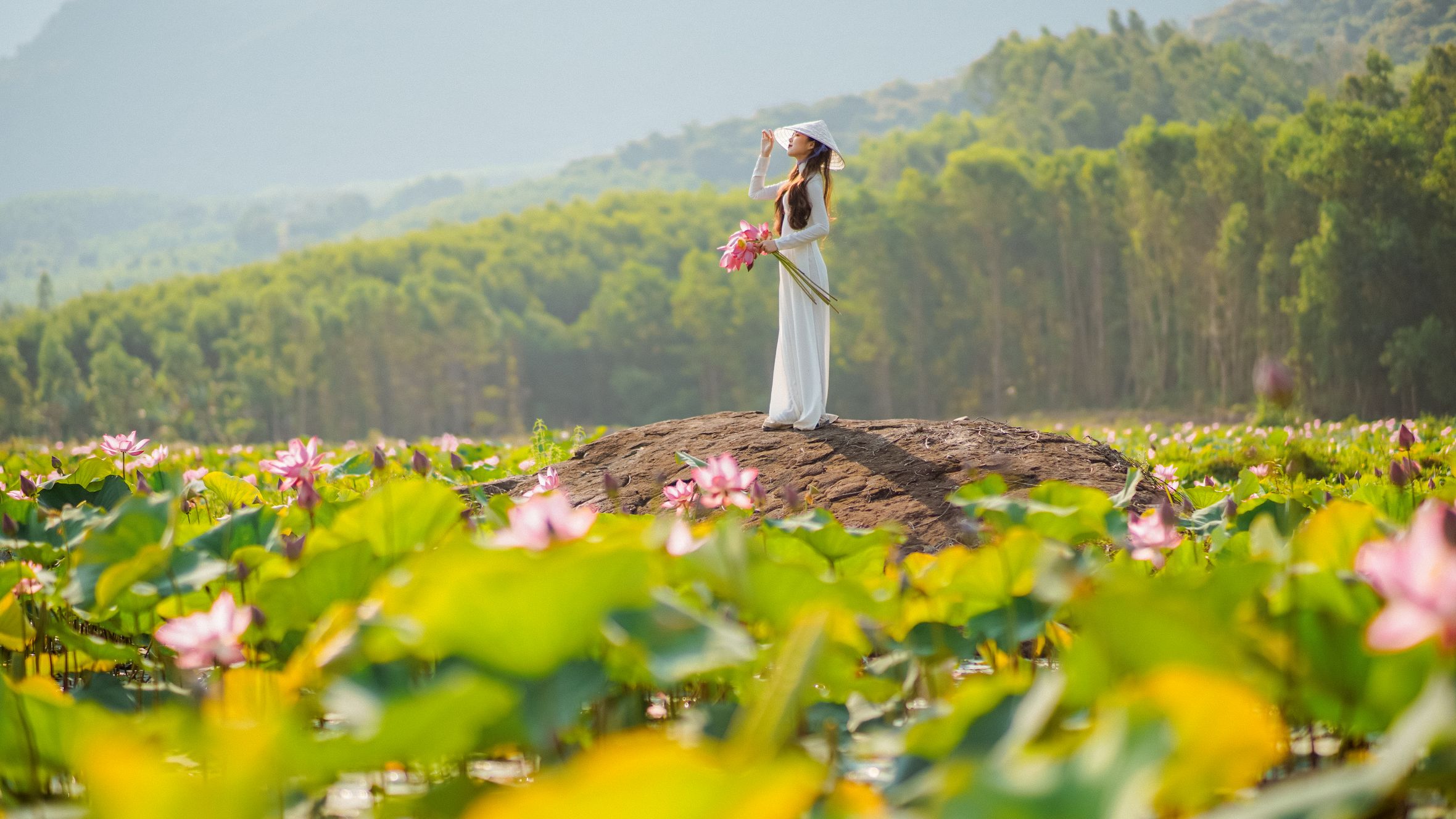 An elegant woman in traditional ao dai poses in a vibrant Vietnamese lotus field.