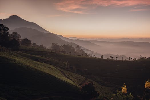 Beautiful mountain landscape captured at sunrise, featuring lush green fields.