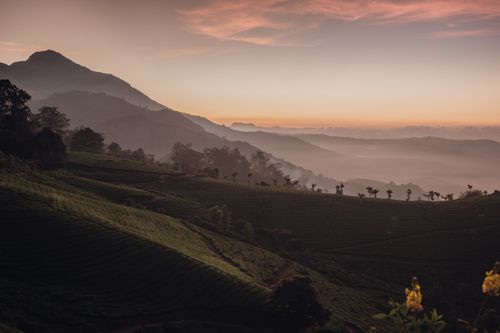 Free Beautiful mountain landscape captured at sunrise, featuring lush green fields. Stock Photo