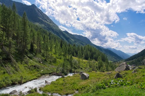 Free stock photo of mountains