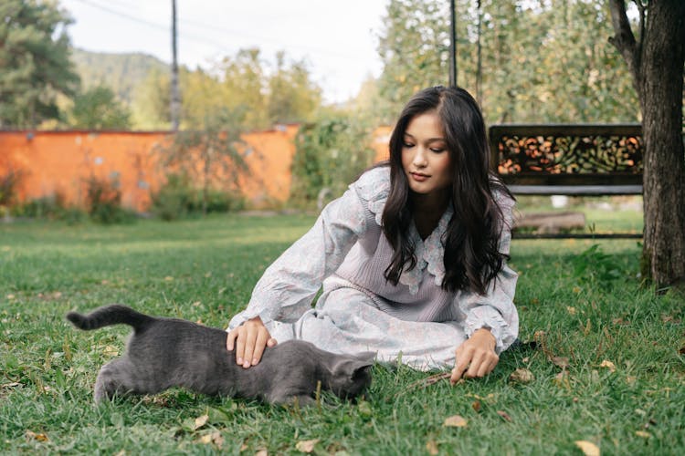 Girl In White Dress Petting The Gray Cat On Grass