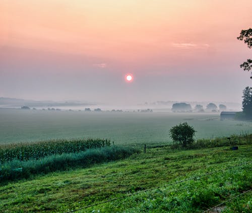 Green Field in Fog During Sunrise
