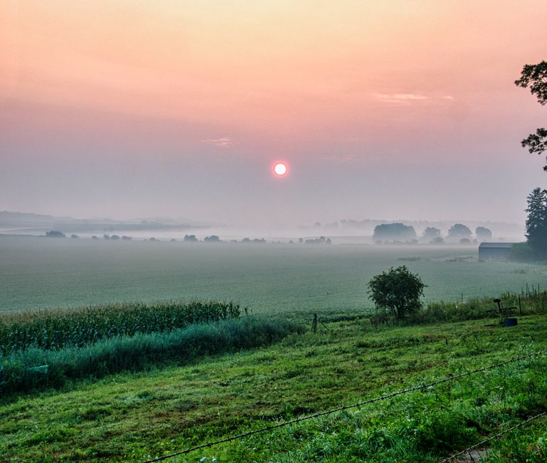 A serene view of sunrise over a mist-covered field in Minnesota countryside, USA.