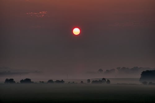 Sun Above Field in Fog