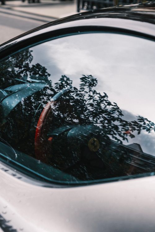 Free Luxury car interior reflecting trees outside, showcasing elegance and design. Stock Photo