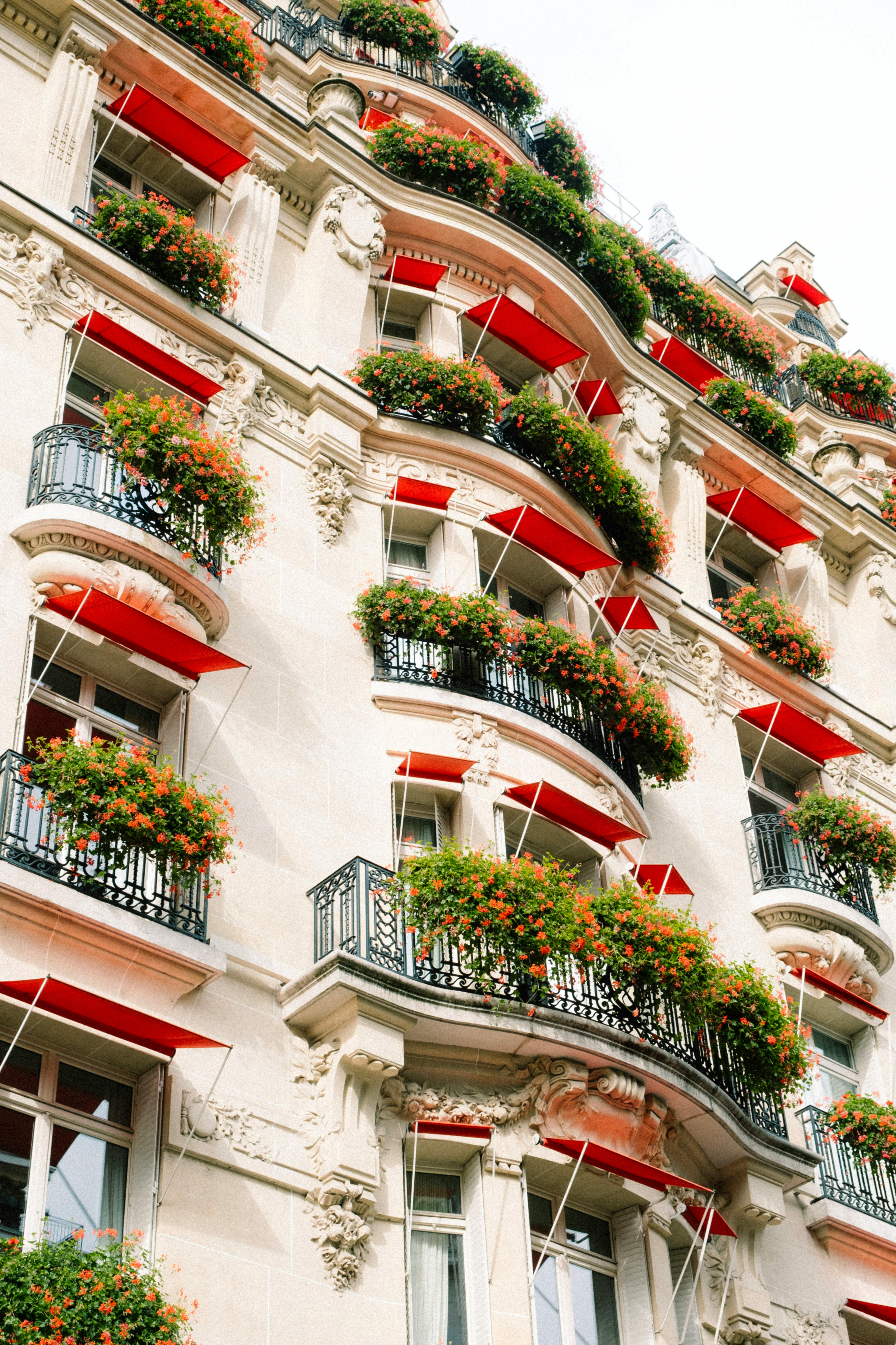 Charming Parisian building facade with red awnings and lush greenery, perfect for urban design inspiration.