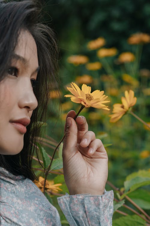 Kostenloses Stock Foto zu asiatische frau, festhalten, gelbe blumen