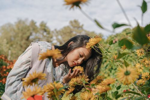 Free A woman with long hair enjoys the scent of vibrant yellow flowers in a sunlit garden. Stock Photo