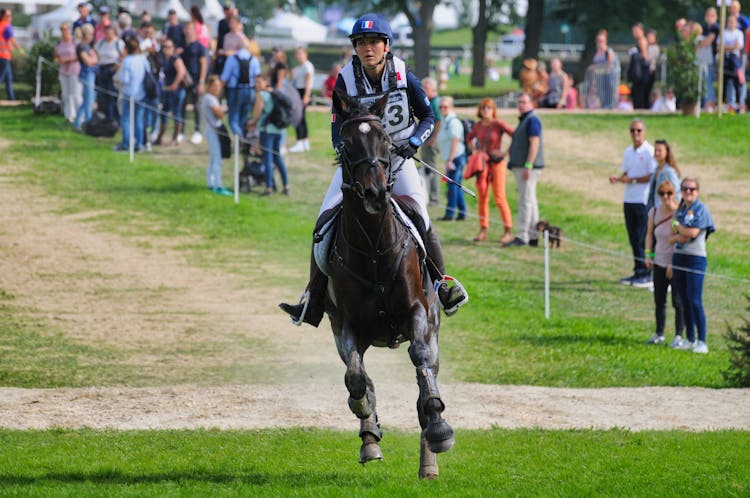 Woman Riding A Horse In A Competition