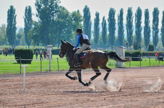 A skilled jockey and horse competing in an outdoor equestrian event in Avenches, Switzerland.