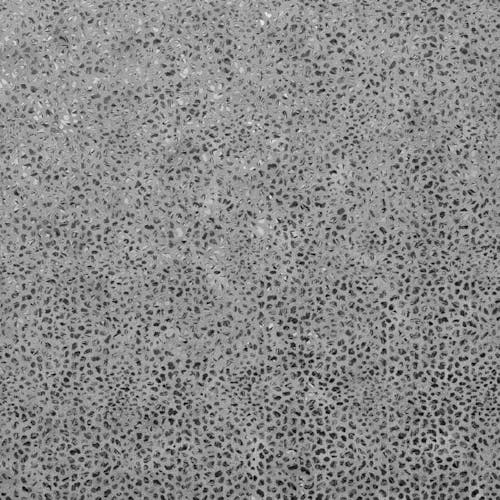 Photo of a Textured Surface
