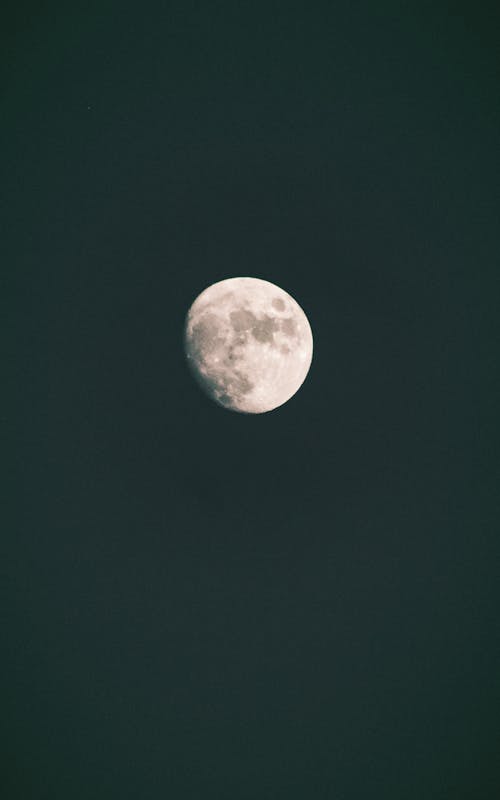 Free A Bright Moon in the Sky Stock Photo