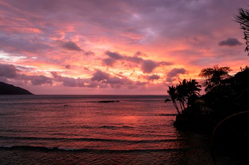Free Stunning sunset view over ocean in Seychelles with palm trees silhouetted against colorful sky. Stock Photo