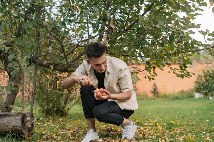 A Man Picking Fruits On The Grass