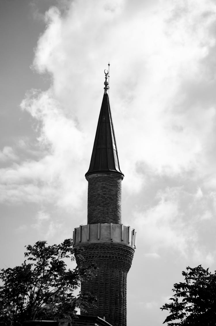 View Of A Tower