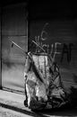 Black and white picture of wheeled bag