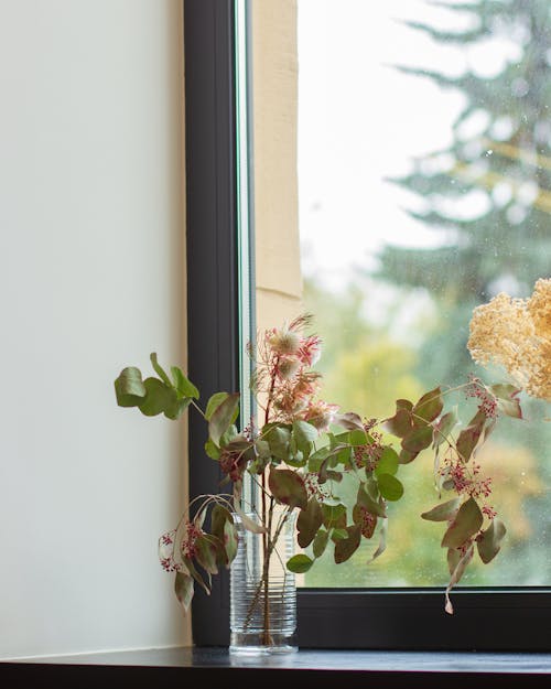 Houseplant in Vase on Windowsill