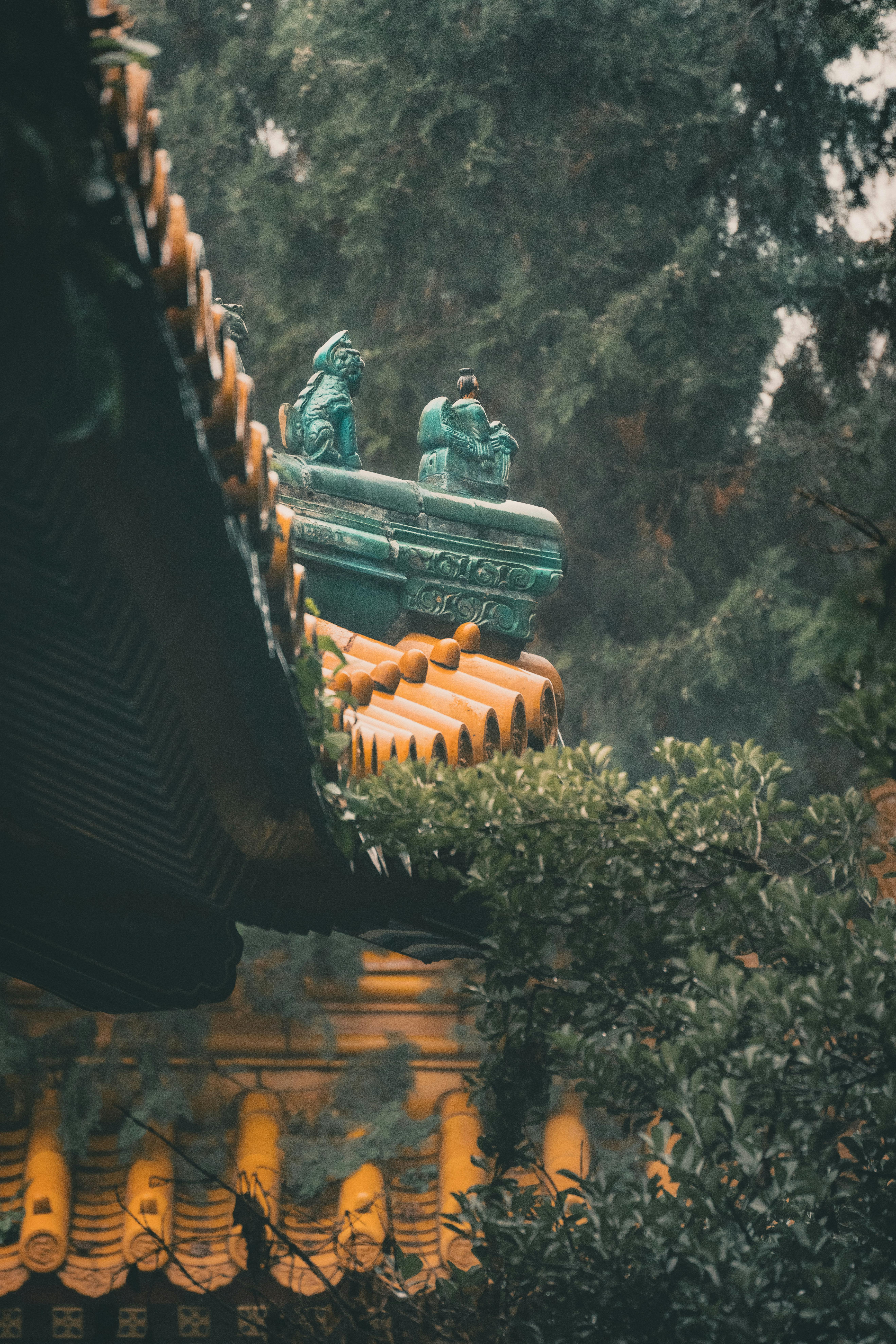 Traditional Asian temple roof with intricate sculptures surrounded by lush greenery.
