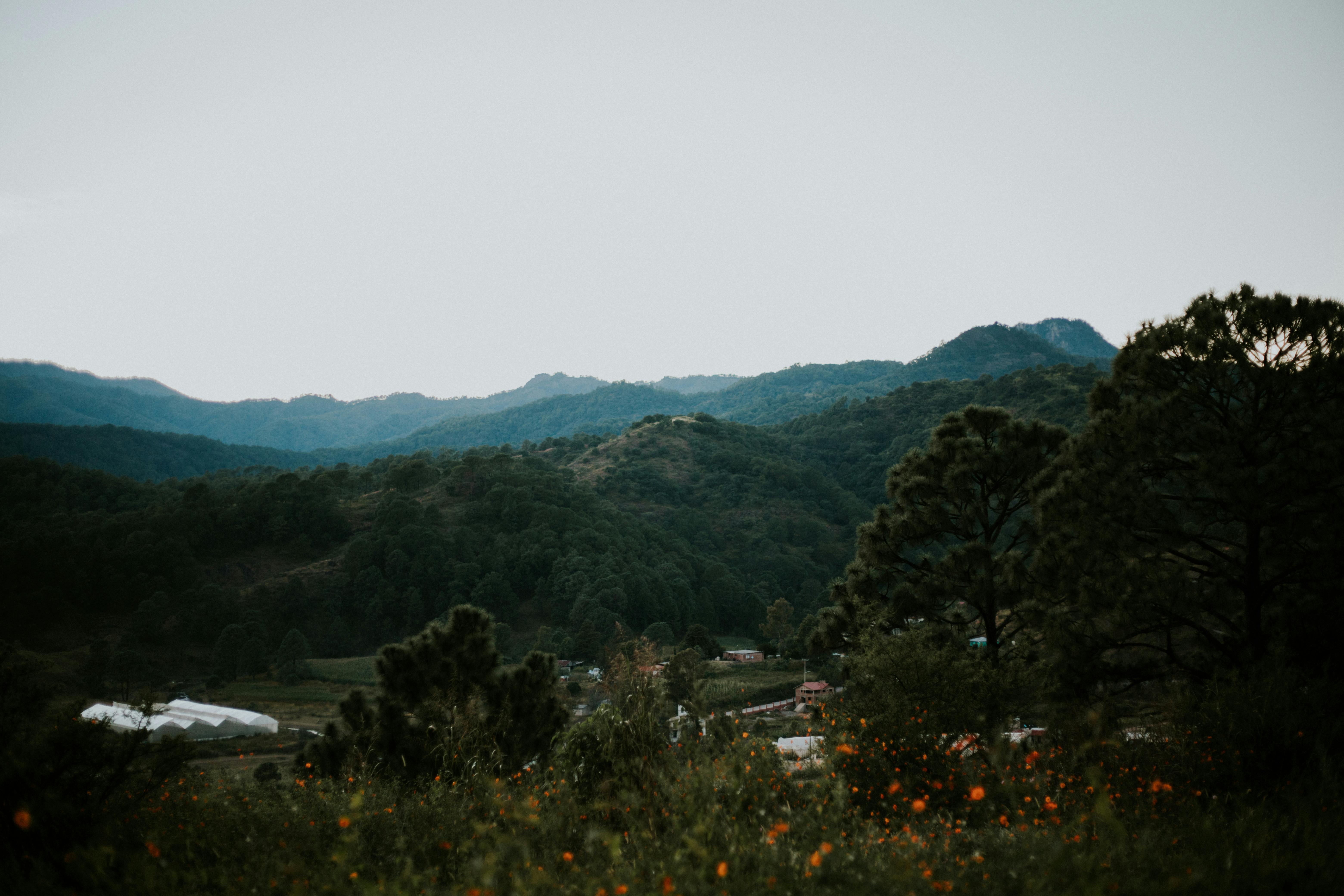 scenic view of mountain valley in tilt shift lens