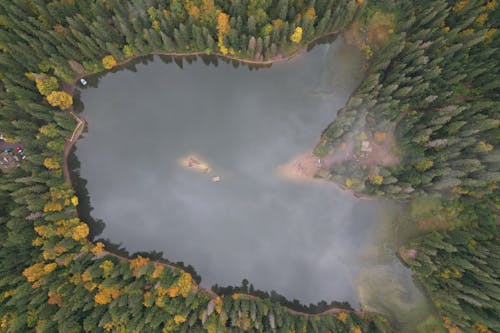 Kostnadsfri bild av dimmig, drönarbilder, fågelperspektiv